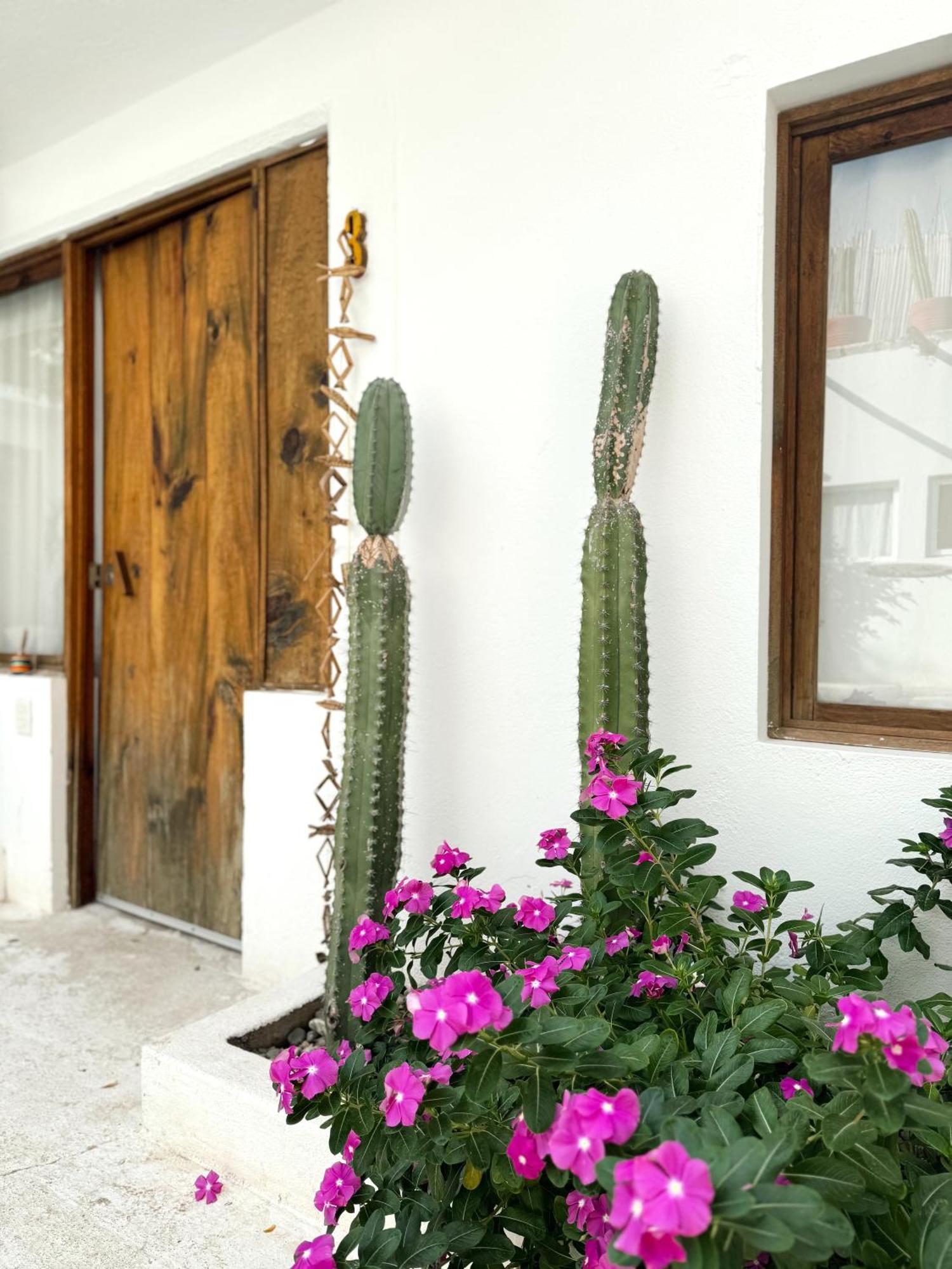 Casa Leone La Punta Hotel Brisas de Zicatela Bagian luar foto