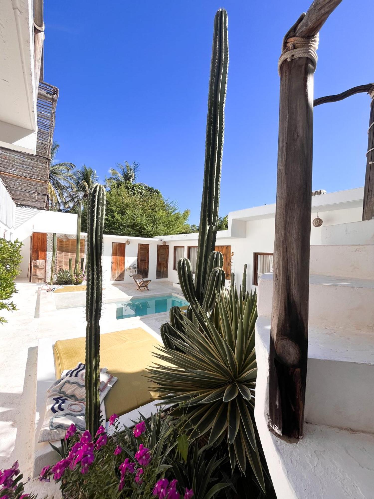 Casa Leone La Punta Hotel Brisas de Zicatela Bagian luar foto